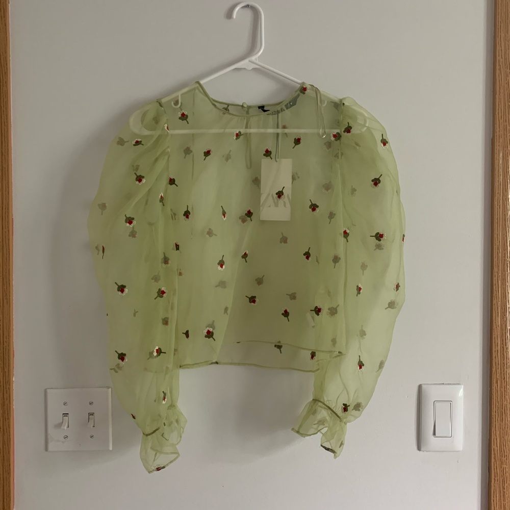 Zara Organza Blouse